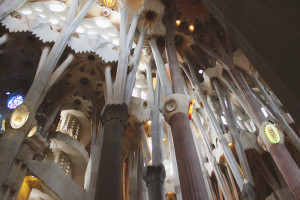 Inside Sagrada Familia Looking Up
